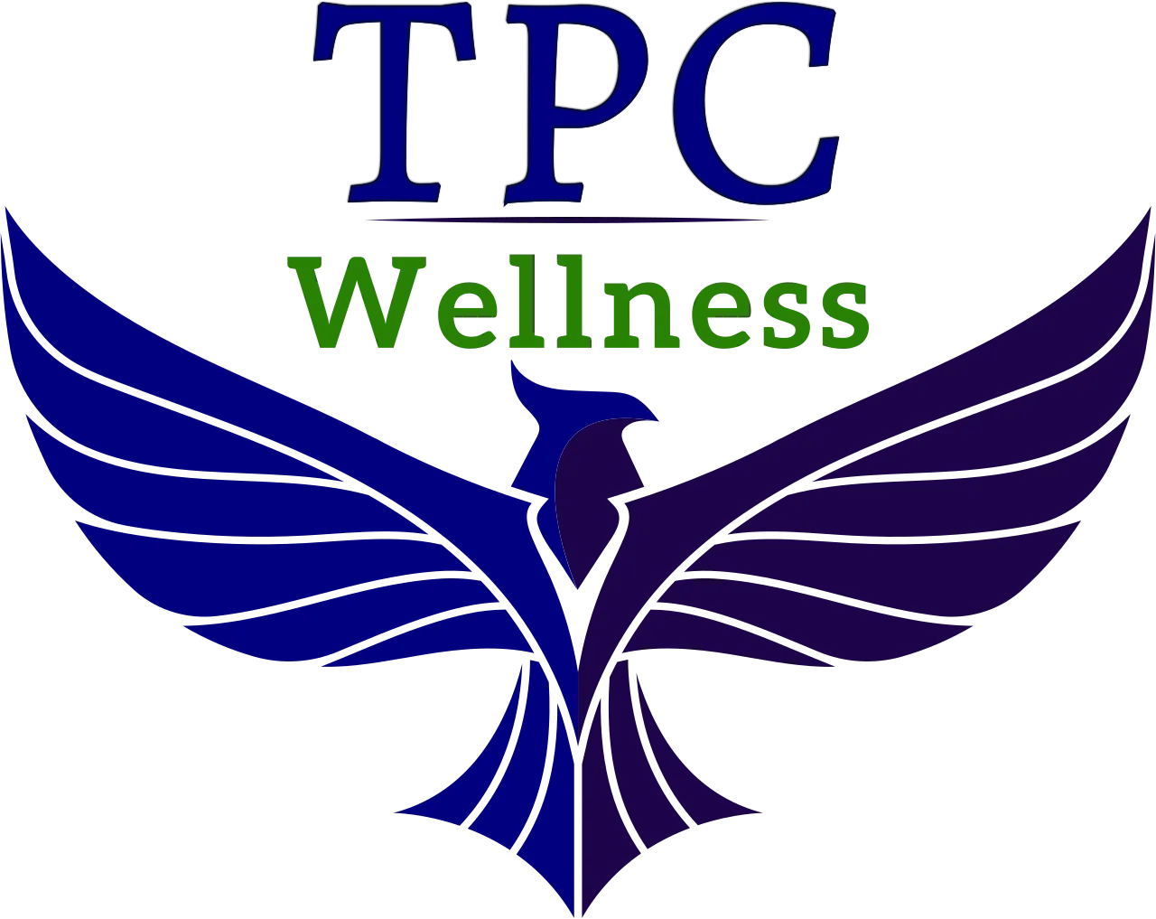 Phoenix Center logo