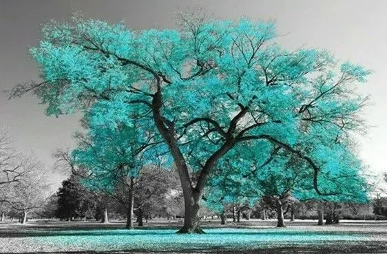 Progress House Progress House Counseling Center logo